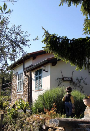 L'Oasi del Rossese